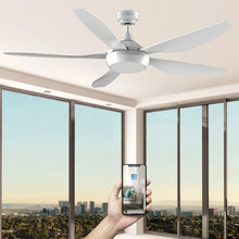 Charger l'image dans la galerie, Brasseur d'air ABACO DC 137CM avec moteur à courant continu