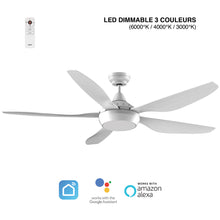 Charger l'image dans la galerie, Brasseur d'air ABACO DC 137CM avec moteur à courant continu