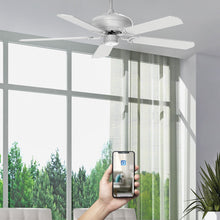 Charger l'image dans la galerie, BRASSEUR D’AIR ALIZE DC 152CM AVEC MOTEUR À COURANT CONTINU