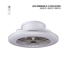 Charger l'image dans la galerie, Brasseur d'air EXUMA DC 38 CM avec moteur à courant continu