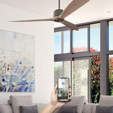 Charger l'image dans la galerie, Brasseur d'air NEBA DC 164CM avec moteur à courant continu