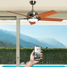 Charger l'image dans la galerie, BRASSEUR D’AIR SABA DC 132CM AVEC MOTEUR À COURANT CONTINU