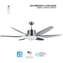 Charger l'image dans la galerie, BRASSEUR D’AIR SANDY DC 168CM AVEC MOTEUR À COURANT CONTINU