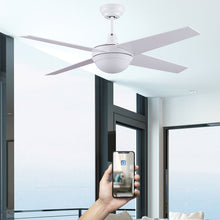 Charger l&#39;image dans la galerie, BRASSEUR D’AIR GONAVE DC 132CM AVEC MOTEUR À COURANT CONTINU
