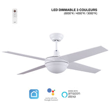 Charger l&#39;image dans la galerie, BRASSEUR D’AIR GONAVE DC 132CM AVEC MOTEUR À COURANT CONTINU
