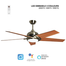Charger l&#39;image dans la galerie, BRASSEUR D’AIR SABA DC 132CM AVEC MOTEUR À COURANT CONTINU
